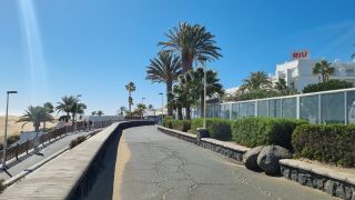 GC-Paseo Costa Canaria - Dunas 2023-050.jpg